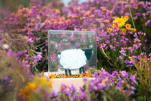 Load image into Gallery viewer, Sheep fused glass tea light holder hand made by Flow Glass Orkney Islands Scotland