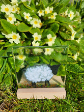 Load image into Gallery viewer, Sheep fused glass tea light holder hand made by Flow Glass Orkney Islands Scotland 

